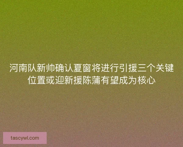 河南队新帅确认夏窗将进行引援三个关键位置或迎新援陈蒲有望成为核心